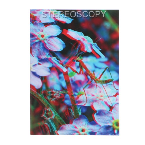 Magazine stereoscopy