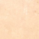 Tarjeta estereoscópica, retrato de estudio costumbrista "Fidele Leute"