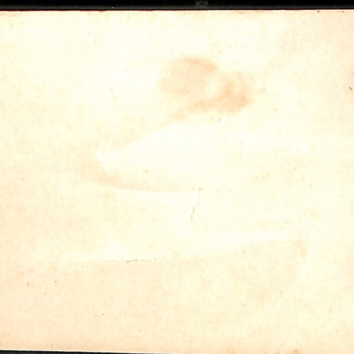 Tarjeta estereoscópica, retrato teatral con guitarra, "Fidele Leute"