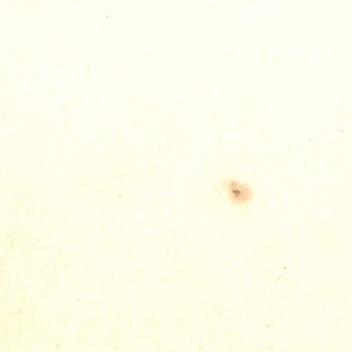 Vista estereoscópica de la coronación del Rey de Inglaterra (Eduardo VII) por Léon et Lévy