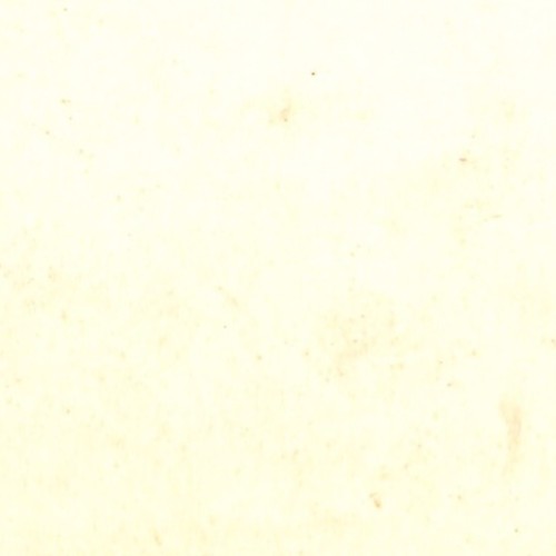 Tarjeta estereoscópica de la coronación del rey de Inglaterra, tropas coloniales, edición Léon & Lévy