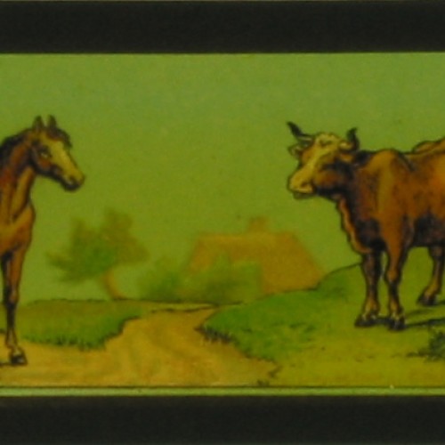 Placa de Linterna Mágica con animales cuadrúpedos: burro, caballo, vaca y ciervo