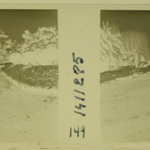 Imágenes 3-D Esteroscópicas Blanco y Negro 10,7x 4,5cm.