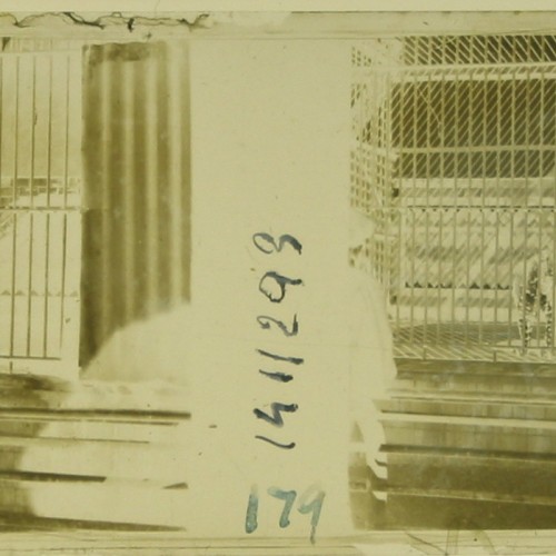 Imágenes 3-D Esteroscópicas Blanco y Negro 10,7x 4,5cm.