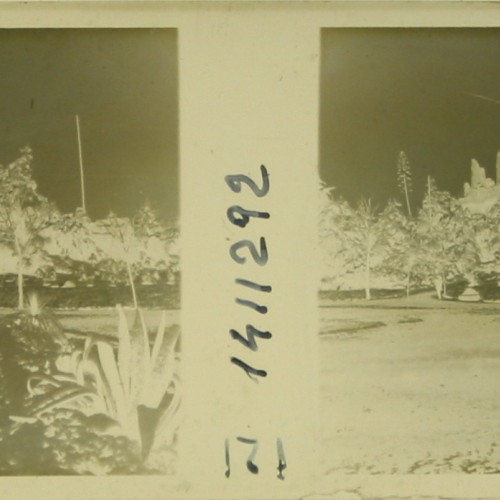 Imágenes 3-D Esteroscópicas Blanco y Negro 10,7x 4,5cm.