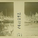 Imágenes 3-D Esteroscópicas Blanco y Negro 10,7x 4,5cm.