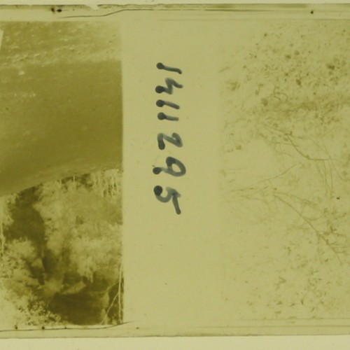 Imágenes 3-D Esteroscópicas Blanco y Negro 10,7x 4,5cm.