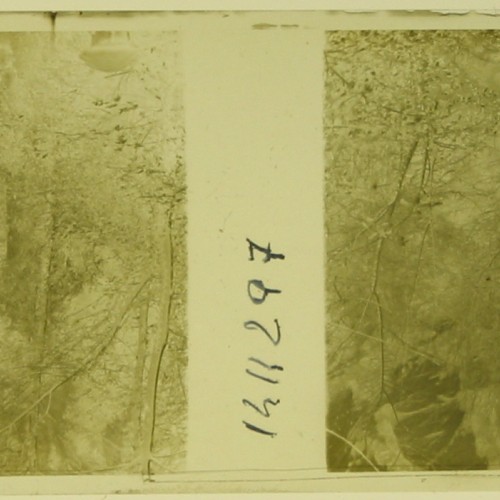 Imágenes 3-D Esteroscópicas Blanco y Negro 10,7x 4,5cm.