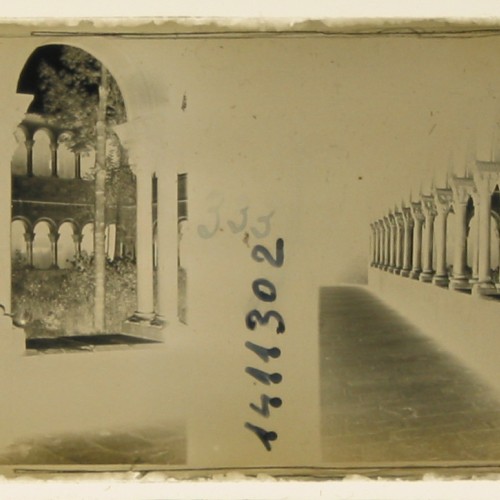 Imágenes 3-D Esteroscópicas Blanco y Negro 10,7x 4,5cm.