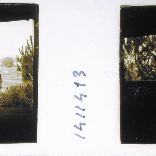 Imágenes 3-D Esteroscópicas Blanco y Negro 10,7x 4,5cm.