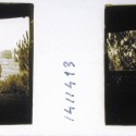 Imágenes 3-D Esteroscópicas Blanco y Negro 10,7x 4,5cm.
