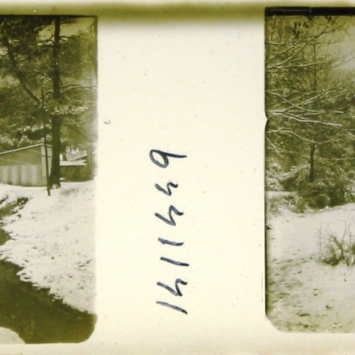 Imágenes 3-D Esteroscópicas Blanco y Negro 10,7x 4,5cm.
