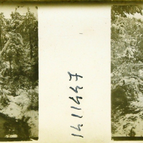 Cristal de linterna mágica