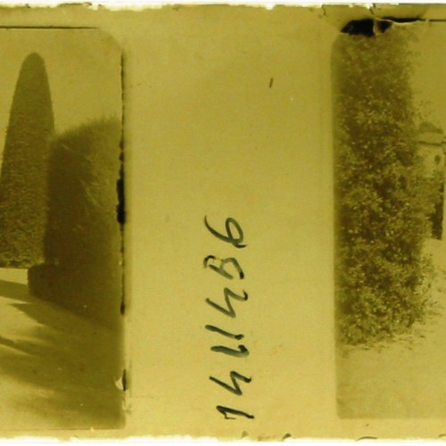 Imágenes 3-D Esteroscópicas Blanco y Negro 10,7x 4,5cm.