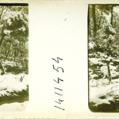 Imágenes 3-D Esteroscópicas Blanco y Negro 10,7x 4,5cm.