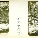 Imágenes 3-D Esteroscópicas Blanco y Negro 10,7x 4,5cm.