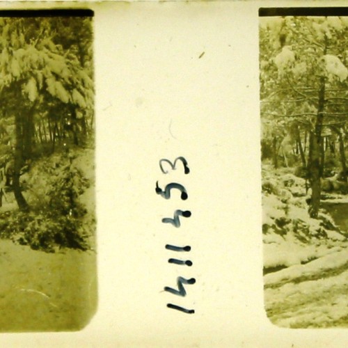 Imágenes 3-D Esteroscópicas Blanco y Negro 10,7x 4,5cm.