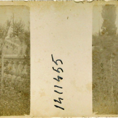 Imágenes 3-D Esteroscópicas Blanco y Negro 10,7x 4,5cm.
