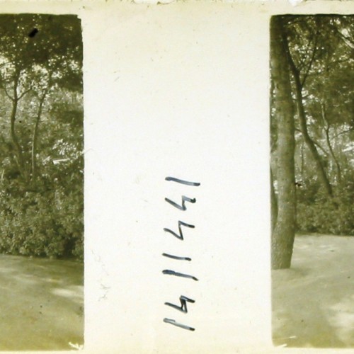 Imágenes 3-D Esteroscópicas Blanco y Negro 10,7x 4,5cm.