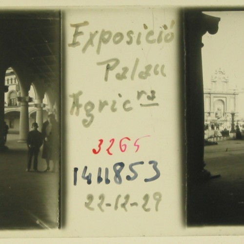 Imágenes 3-D Esteroscópicas Blanco y Negro 10,7x 4,5cm.