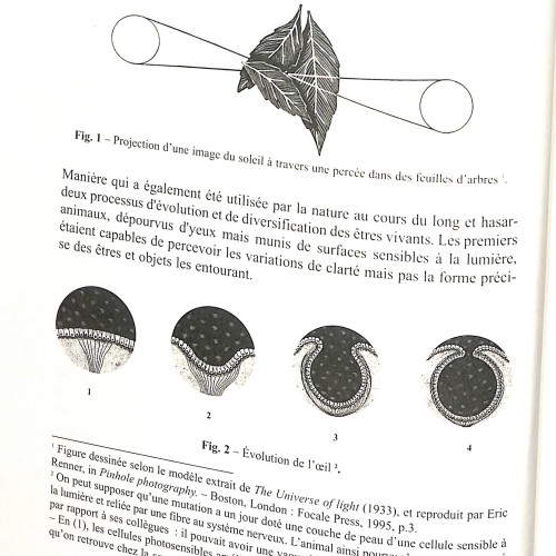 Estudio histórico sobre la fotografía estenopeica, Bibliothèque de Lille