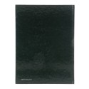 Libro: Die Erotische Daguerreotypie de Michael Weingarten