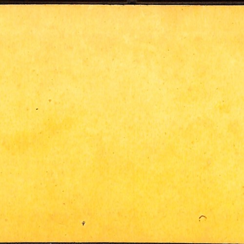 Tarjeta estereoscópica del Anfiteatro del Jardín de las Plantas, París