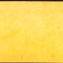 Tarjeta estereoscópica del Anfiteatro del Jardín de las Plantas, París