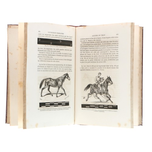 Libro Bibliothèque Scientifique Internationale - J. Marey - La Machine Animale