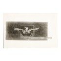 Set Fotografias aparatos cinematograficos y fotograficos - Archives Maurice Beddy