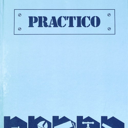 Manual práctico de bricolaje y reparaciones domésticas, de la serie "PRACTICO"