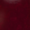 Tomo número 6 de la Enciclopedia Salvat