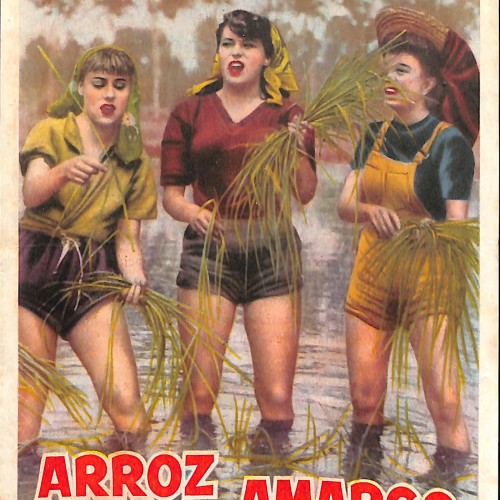 Programa de mano de la película Arroz Amargo