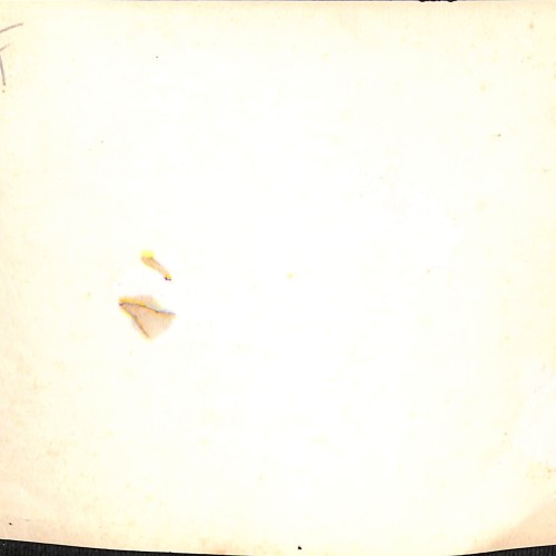 Fotografía original del rodaje de 'El Relicario' (Ricardo Baños, 1928)