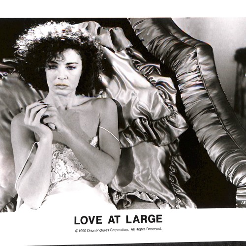 Fotografía publicitaria de la película 'Love at Large' (1990)