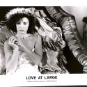 Fotografía publicitaria de la película 'Love at Large' (1990)