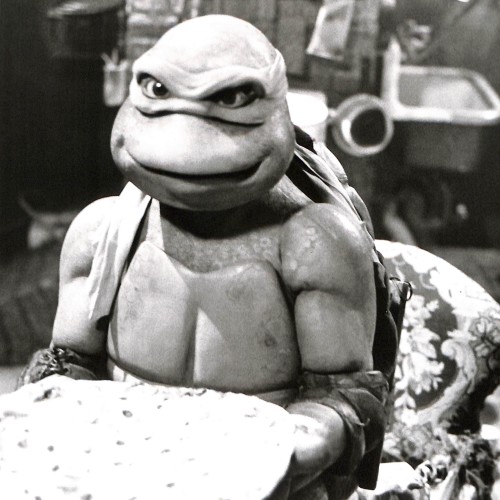 Fotografía publicitaria de estudio (Press Still) de la película 'Tortugas Ninja' (Teenage Mutant Ninja Turtles)