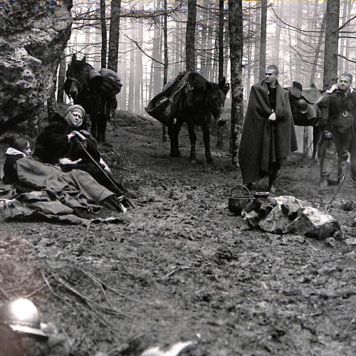 Fotografía de rodaje en bosque