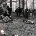 Fotografía de rodaje en bosque