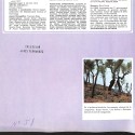 Fascículo de 'EL CINE - Enciclopedia del 7.º arte', número 51