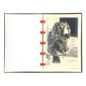 Catalogo Papiers Lumiere - Papeles fotograficos