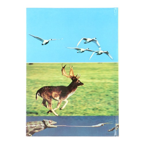 Libro La chase photographique, J.-M. Baufle et J.-P. Varin