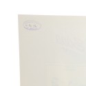 Libro Foto Saga, Rectaflex, Patrice-Hervé Pont