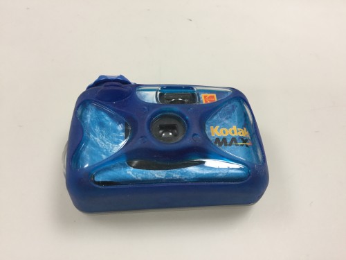 Disposable camera