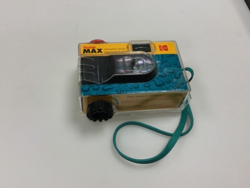 Disposable camera