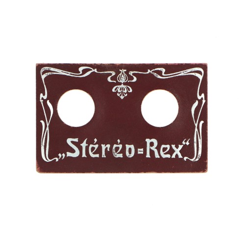 Plegale viewer STEREO-Rex