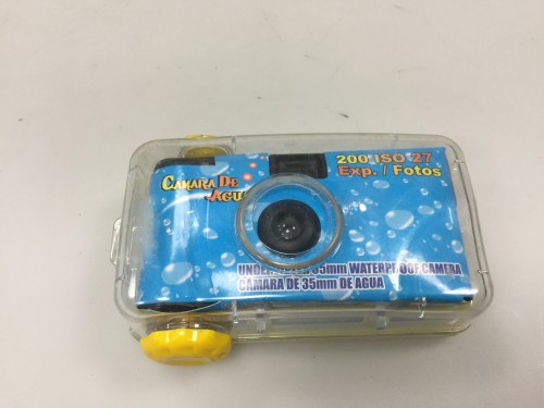 Disposable camera