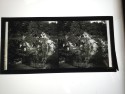 8x17 view stereo crystal