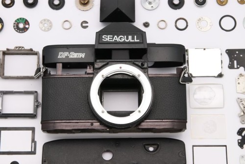 Seagull Camera DF-2ETM removed in frame