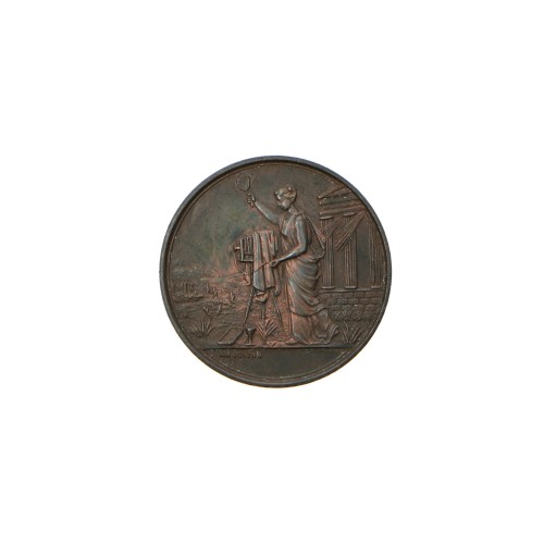 Medalla de bronce ARF Evershed - Redhill 1905 Premio de Fotografía X2
